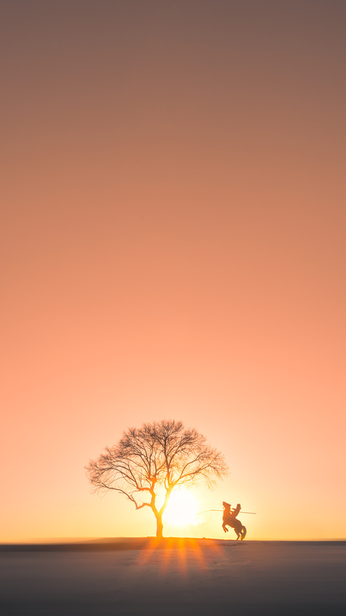 爱游戏体育-篮球联赛团队战术体系持续优化，12个队伍篮球比赛常用赛制