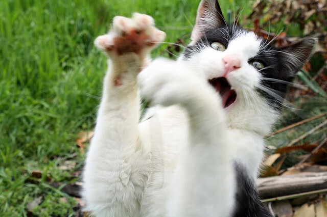 聚焦未来：虚拟现实与增强现实在电竞中的实际应用，虚拟化电子竞技