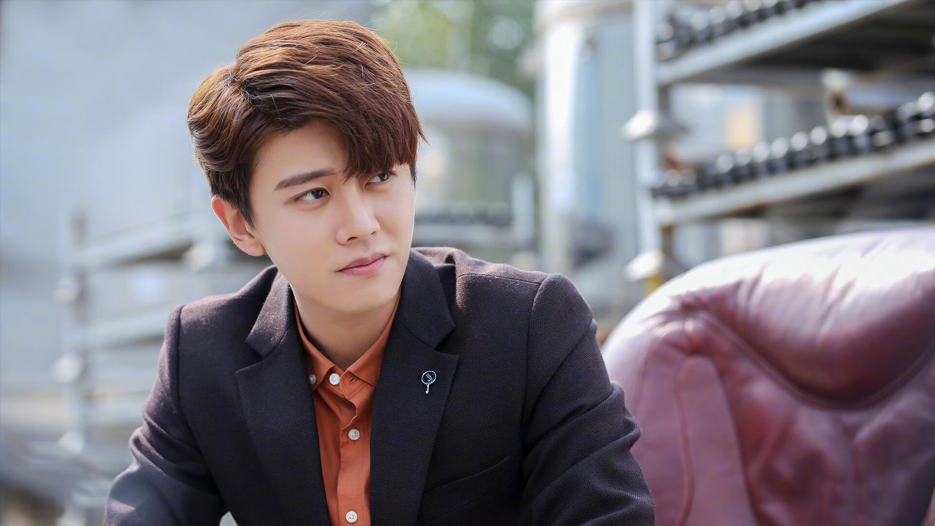 葡萄牙马术队在2024年欧洲工作马术锦标赛中获得团体铜牌，展现出色表现。