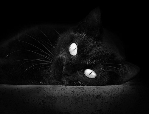 爱游戏入口-千叶喷射机球员伤病逐渐恢复，千叶喷射机篮球