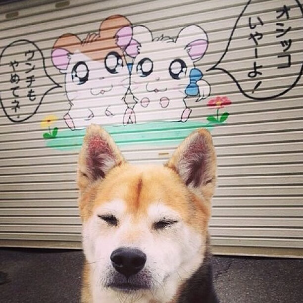 爱游戏官网-国际足坛再现中国力量 女足晋级世界杯，女足进军世界杯