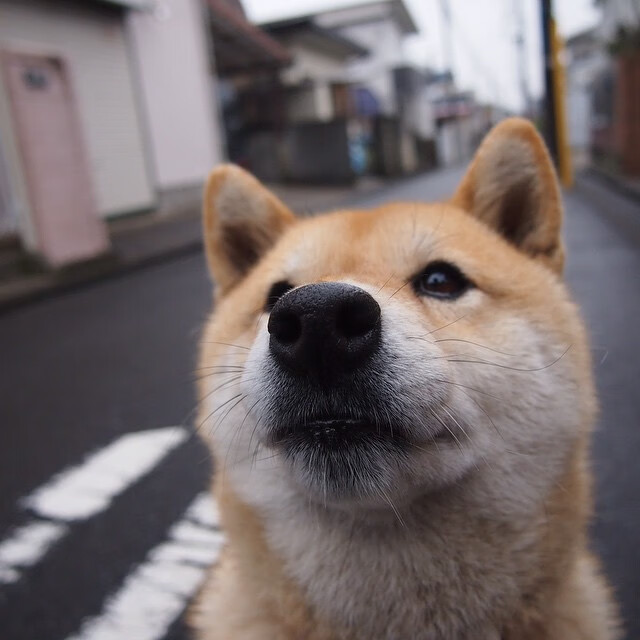 国际足坛再现中国力量 女足晋级世界杯，女足进军世界杯