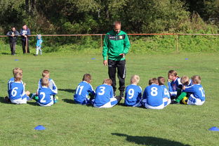 爱游戏娱乐平台-中国篮球教练员战术创新能力培养机制，篮球训练教练简介