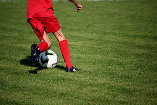 AYX爱游戏中国-中国青少年篮球运动员伤病防控体系建设，青少年篮球训练现状分析