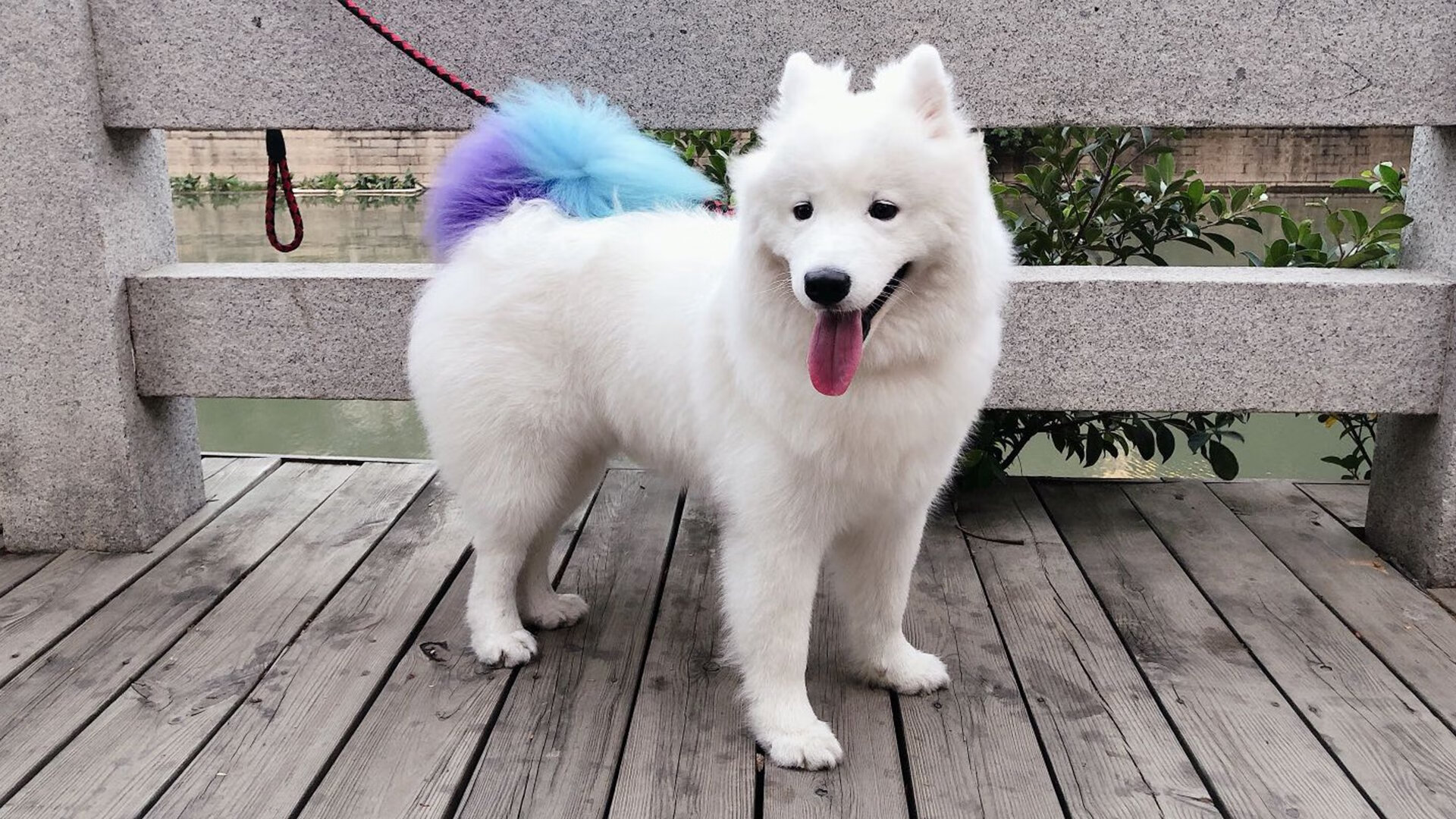 亚冠联赛国家队战胜 球迷鼓励球队奋进，亚冠球队回国了吗